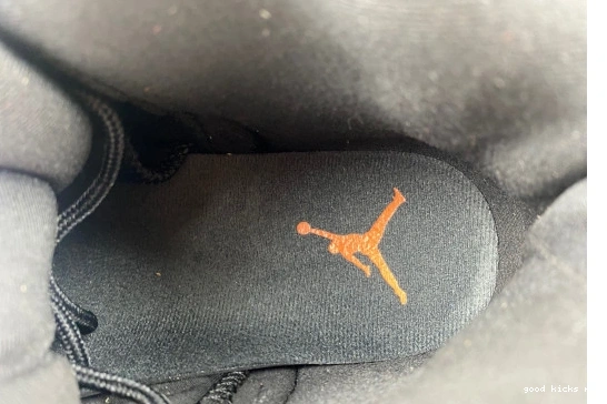  12 FD9101-081 Brilliant  FD9101-081 Retro Jordan Orange 0519
